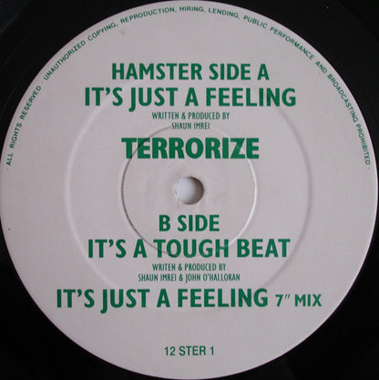 Terrorize : It's Just A Feeling (12")