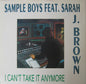 Sample Boys* Feat. Sarah J. Brown : I Can't Take It Anymore (12")