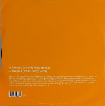 Miss Shiva : Dreams (12")