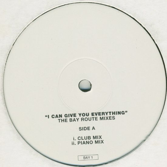 Wet Wet Wet : I Can Give You Everything - The Bay Route Mixes (12", Single, Promo)