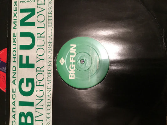 Big Fun : Living For Your Love (12")