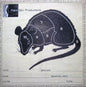 Palm Skin Productions : Condition Red (12")
