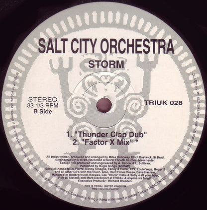 Salt City Orchestra : Storm (12")