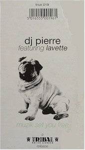DJ Pierre Featuring Lavette : Muzik Set You Free (12")