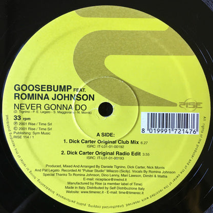 Goosebump : Never Gonna Do (2x12")