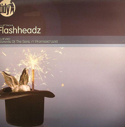 Flashheadz : Wizards Of The Sonic / Promised Land (12")