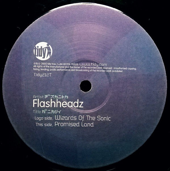 Flashheadz : Wizards Of The Sonic / Promised Land (12")