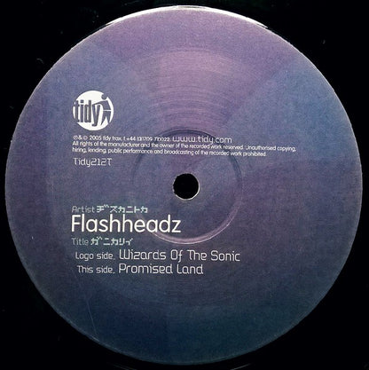 Flashheadz : Wizards Of The Sonic / Promised Land (12")