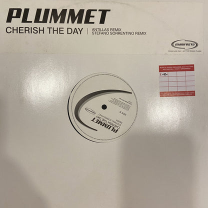 Plummet : Cherish The Day (12", Promo)