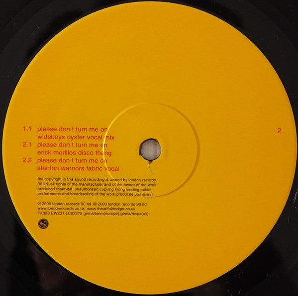 Artful Dodger Featuring Vocals By Lifford : Please Don't Turn Me On (12")