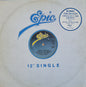Bobby Thurston : Check Out The Groove (12", Single)