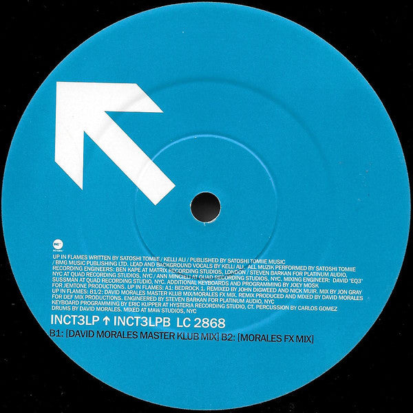 Satoshi Tomiie : Up In Flames (Part 1) (12")