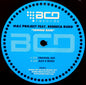 M&C Project Feat. Rebbeca Rudd* : Coming Back (12")