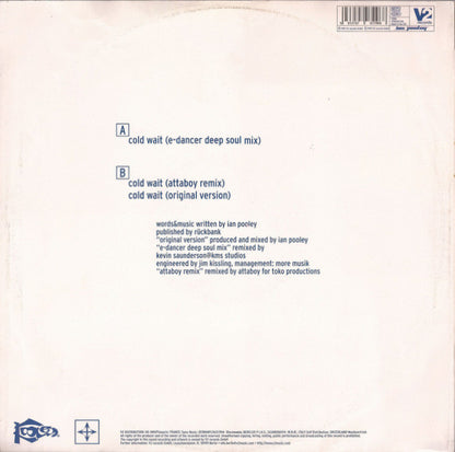 Ian Pooley : Cold Wait (12")