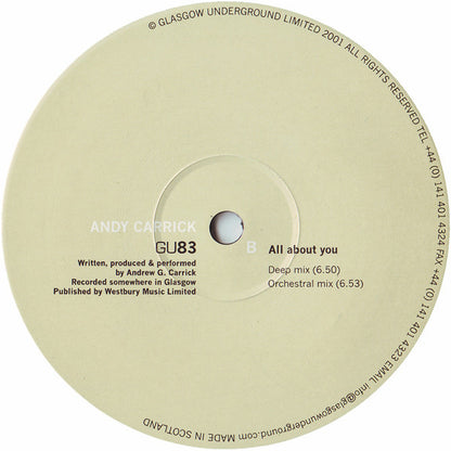 Andy Carrick : Needin' You (12")