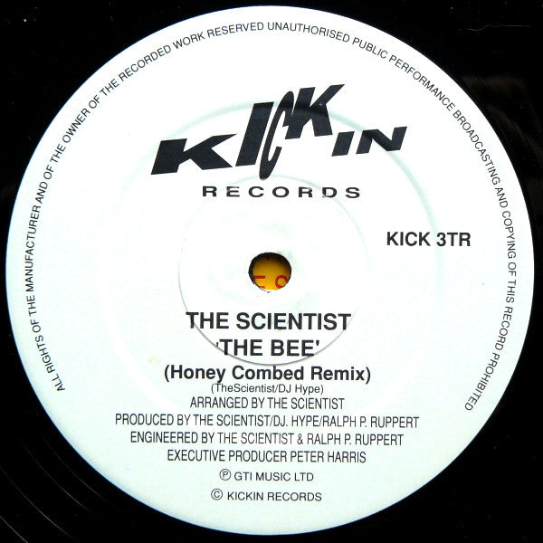 The Scientist : The Bee (Remix) (12")