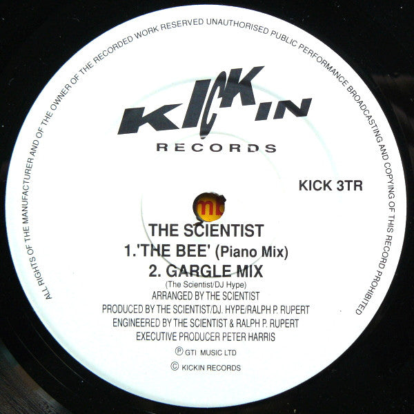 The Scientist : The Bee (Remix) (12")