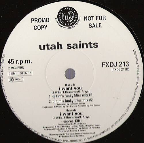 Utah Saints : I Want You (12", Promo)