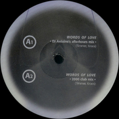 DJ Stephen : Words Of Love (12")