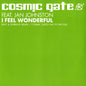 Cosmic Gate Feat. Jan Johnston : I Feel Wonderful (12")