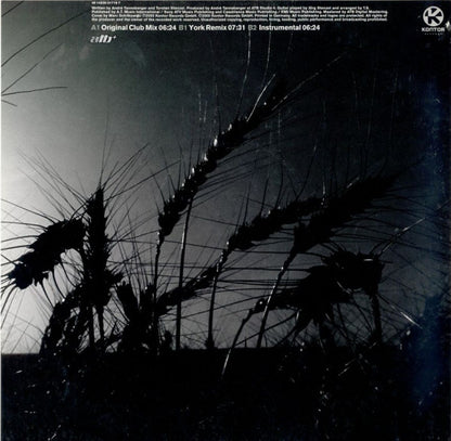 ATB Feat. York : The Fields Of Love (12", Promo)