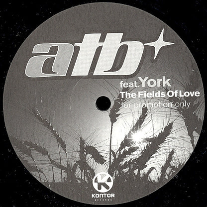 ATB Feat. York : The Fields Of Love (12", Promo)