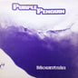 Purple Penguin : Mountain (12")
