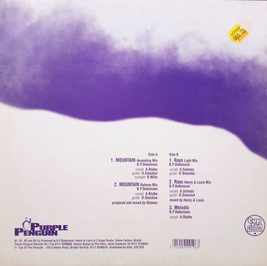 Purple Penguin : Mountain (12")