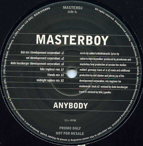 Masterboy : Anybody (12", Promo)