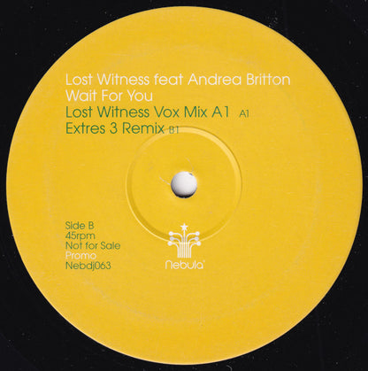 Lost Witness Feat Andrea Britton : Wait For You (12", Promo)
