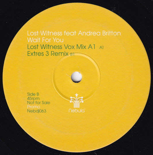 Lost Witness Feat Andrea Britton : Wait For You (12", Promo)
