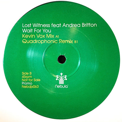 Lost Witness Feat Andrea Britton : Wait For You (12", Promo)