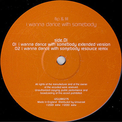 Flip & Fill : I Wanna Dance With Somebody (12", Single)
