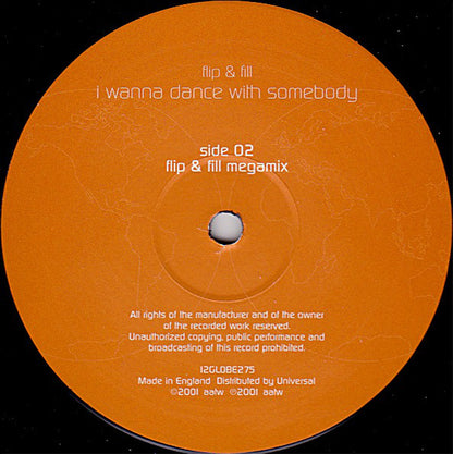 Flip & Fill : I Wanna Dance With Somebody (12", Single)