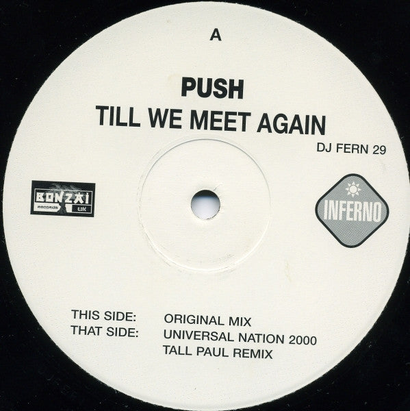 Push : Till We Meet Again (2x12", Promo)