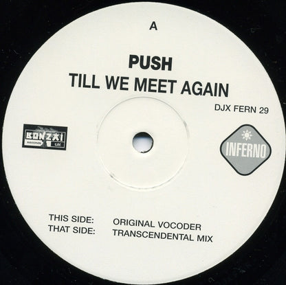 Push : Till We Meet Again (2x12", Promo)