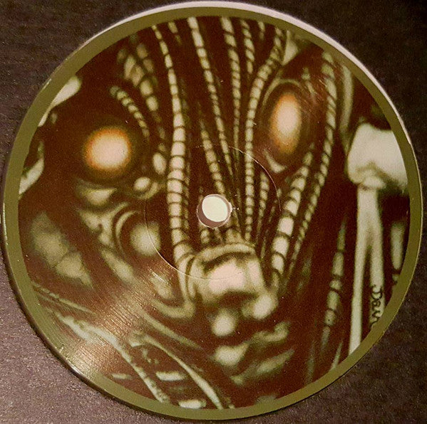 Subexplored : The Puzzled Truth (12", Ltd, Cle)