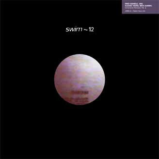 Immersion (2) : Remixes Vol. 2 (12")