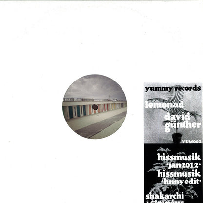 David Günther / Shakarchi & Stranéus : Lemonad / Hissmusik (12")
