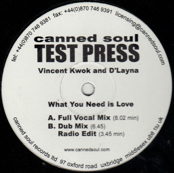 Vincent Kwok & D'Layna : What You Need Is Love (12")