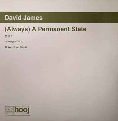 David James : (Always) A Permanent State (12", 1/2)