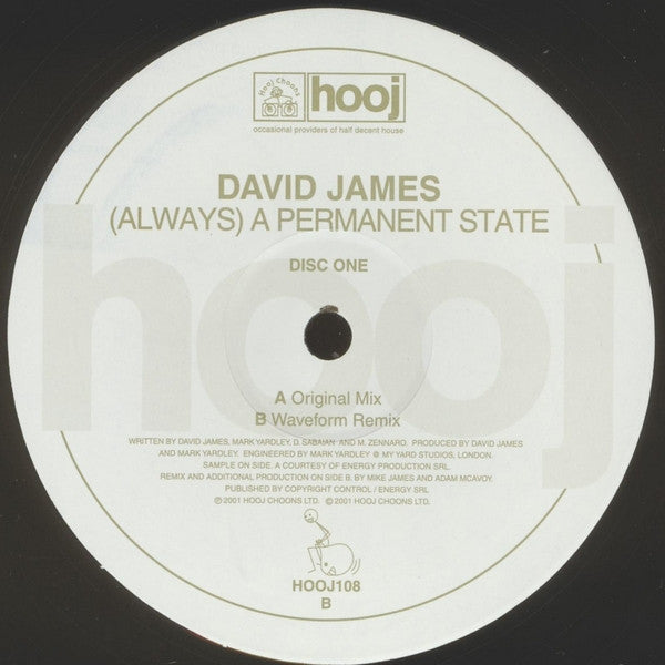 David James : (Always) A Permanent State (12", 1/2)