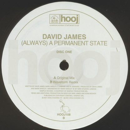 David James : (Always) A Permanent State (12", 1/2)
