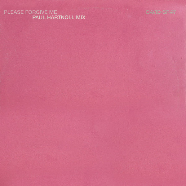 David Gray : Please Forgive Me (Paul Hartnoll Mix) (12")