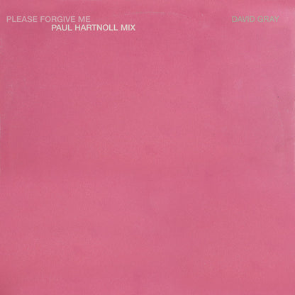 David Gray : Please Forgive Me (Paul Hartnoll Mix) (12")