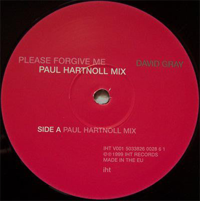 David Gray : Please Forgive Me (Paul Hartnoll Mix) (12")