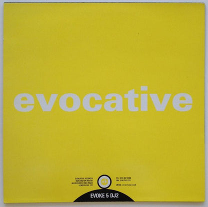 Shah (2) : Secret Love (12", Promo)