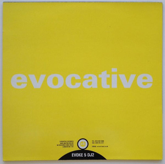 Shah (2) : Secret Love (12", Promo)