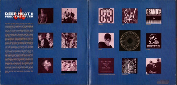 Various : Deep Heat 5 - Feed The Fever (2xLP, Comp)