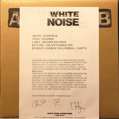 Audioweb : Sleeper (12", Promo)